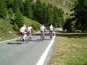 15-testa del gruppo